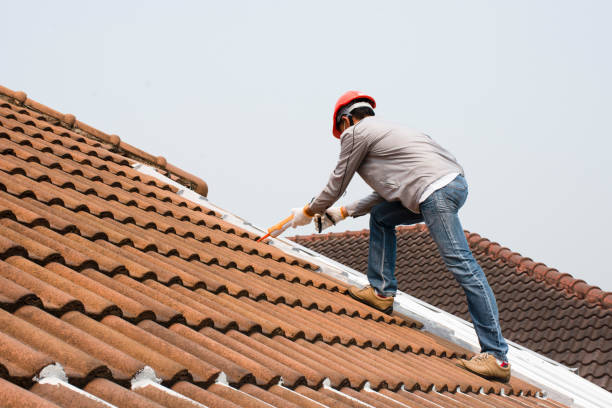 Best Roof Maintenance  in Pocatello, ID